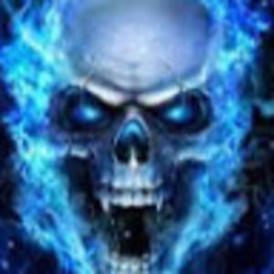 Meet your Posher, Rowan